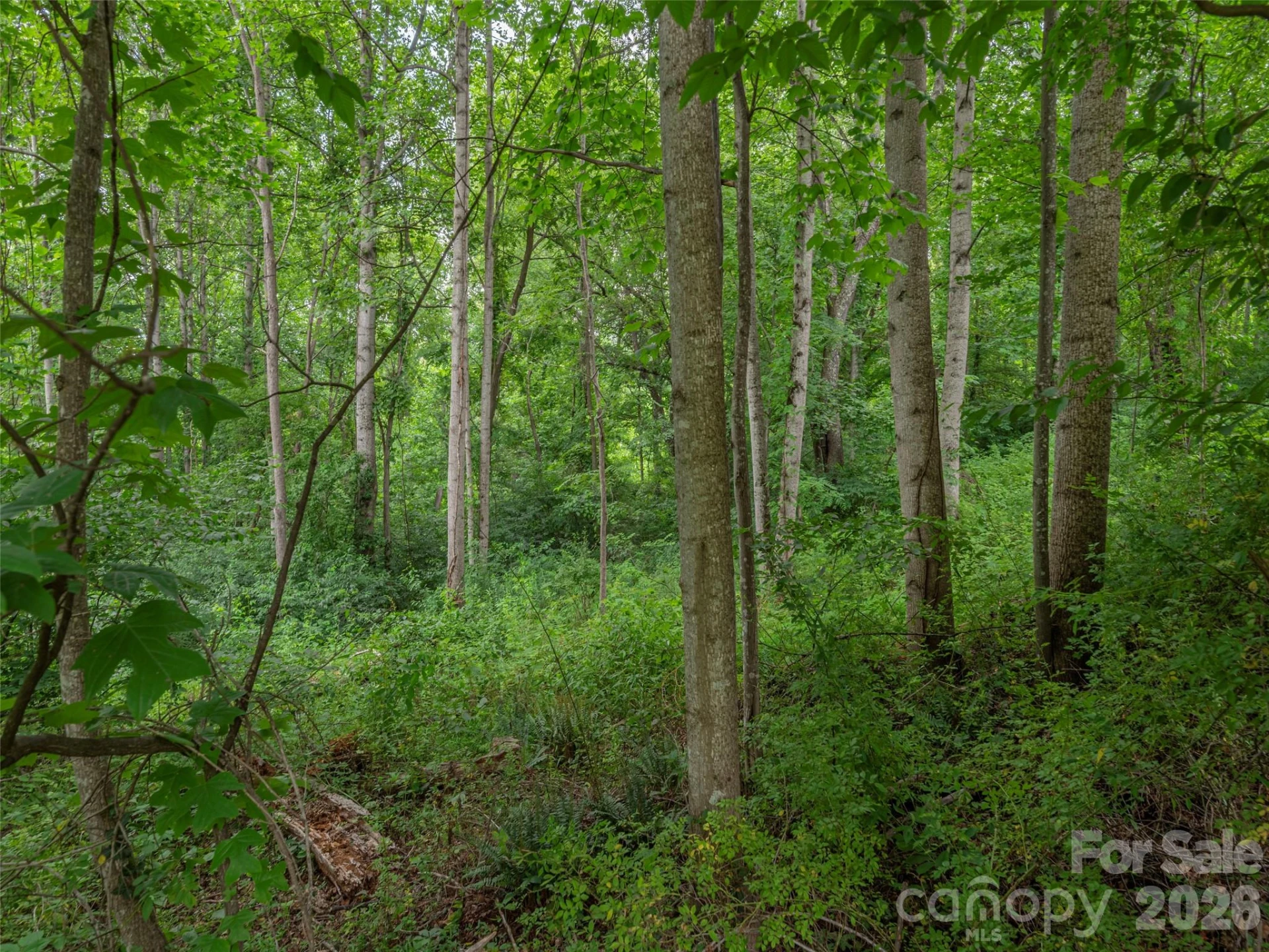 241 Clyde View Heights - Photo 4