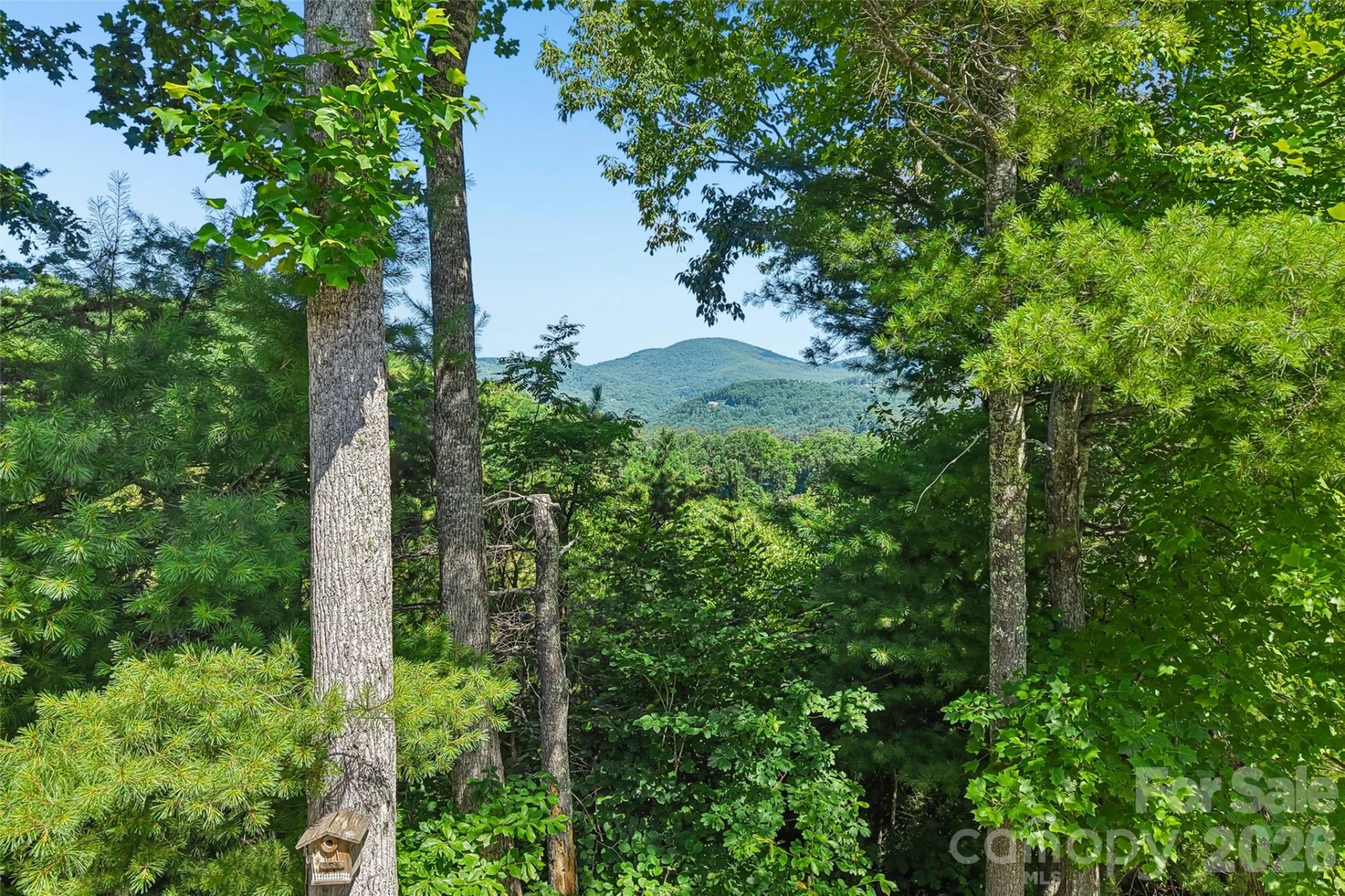 959 Silverglen Way - Photo 45
