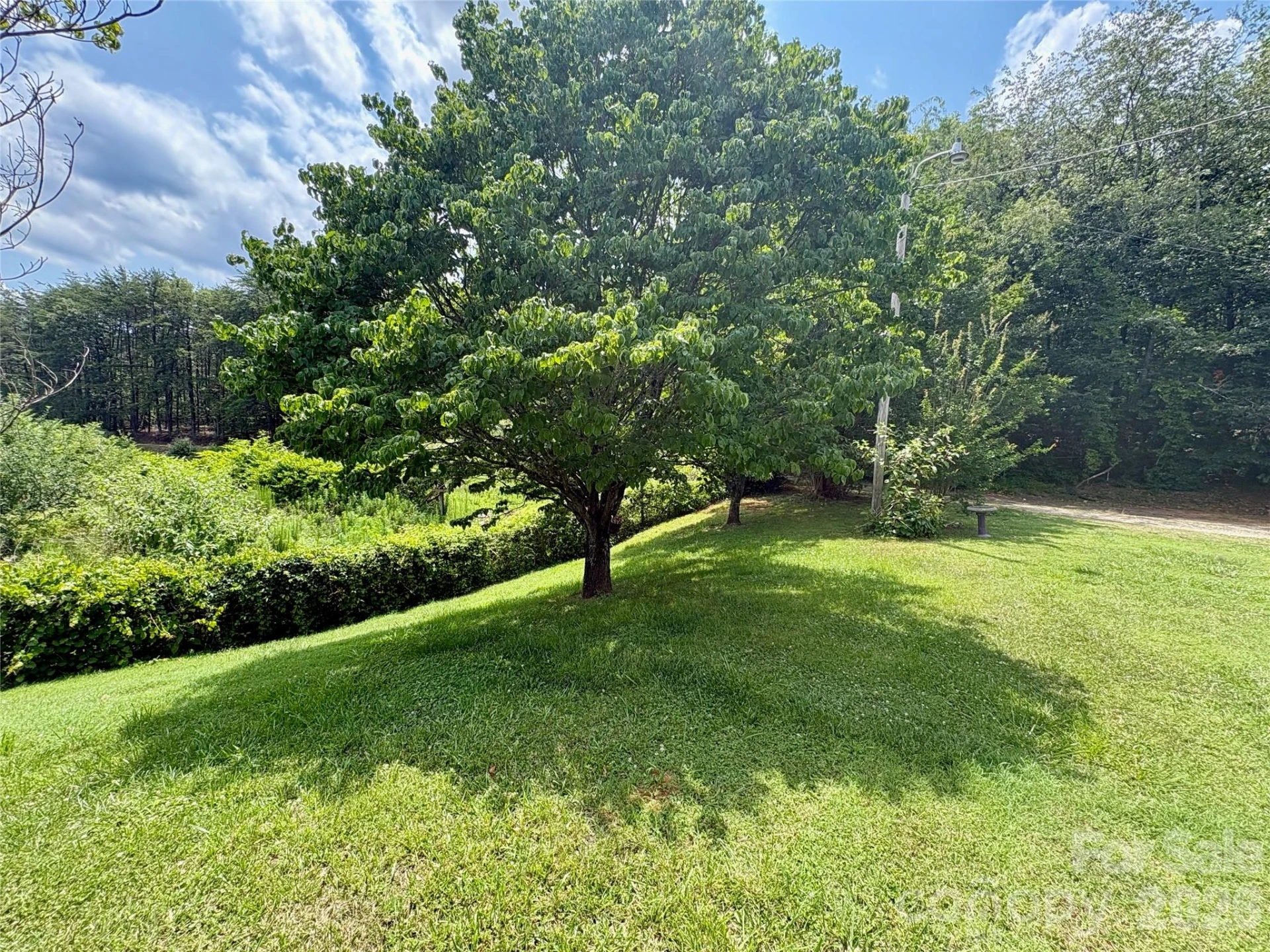 1812 Freemantown Road - Photo 34