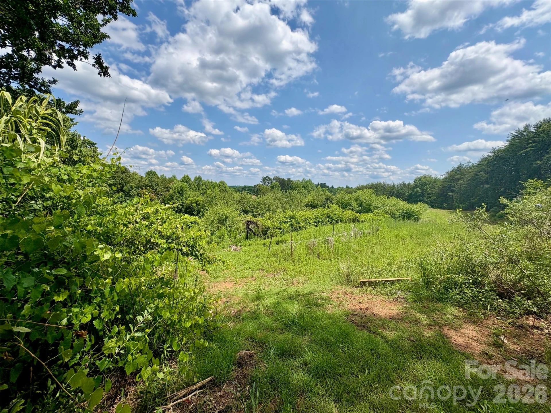1812 Freemantown Road - Photo 4