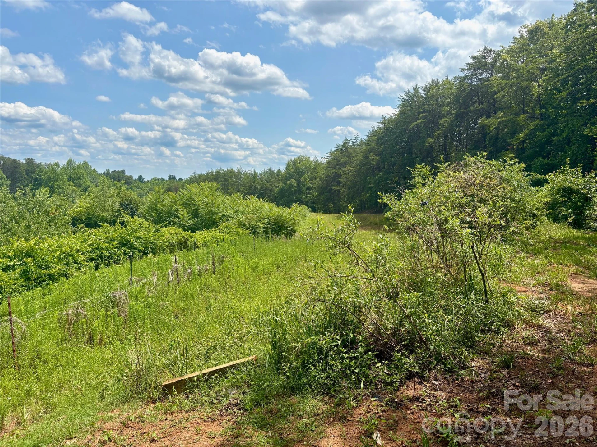 1812 Freemantown Road - Photo 36