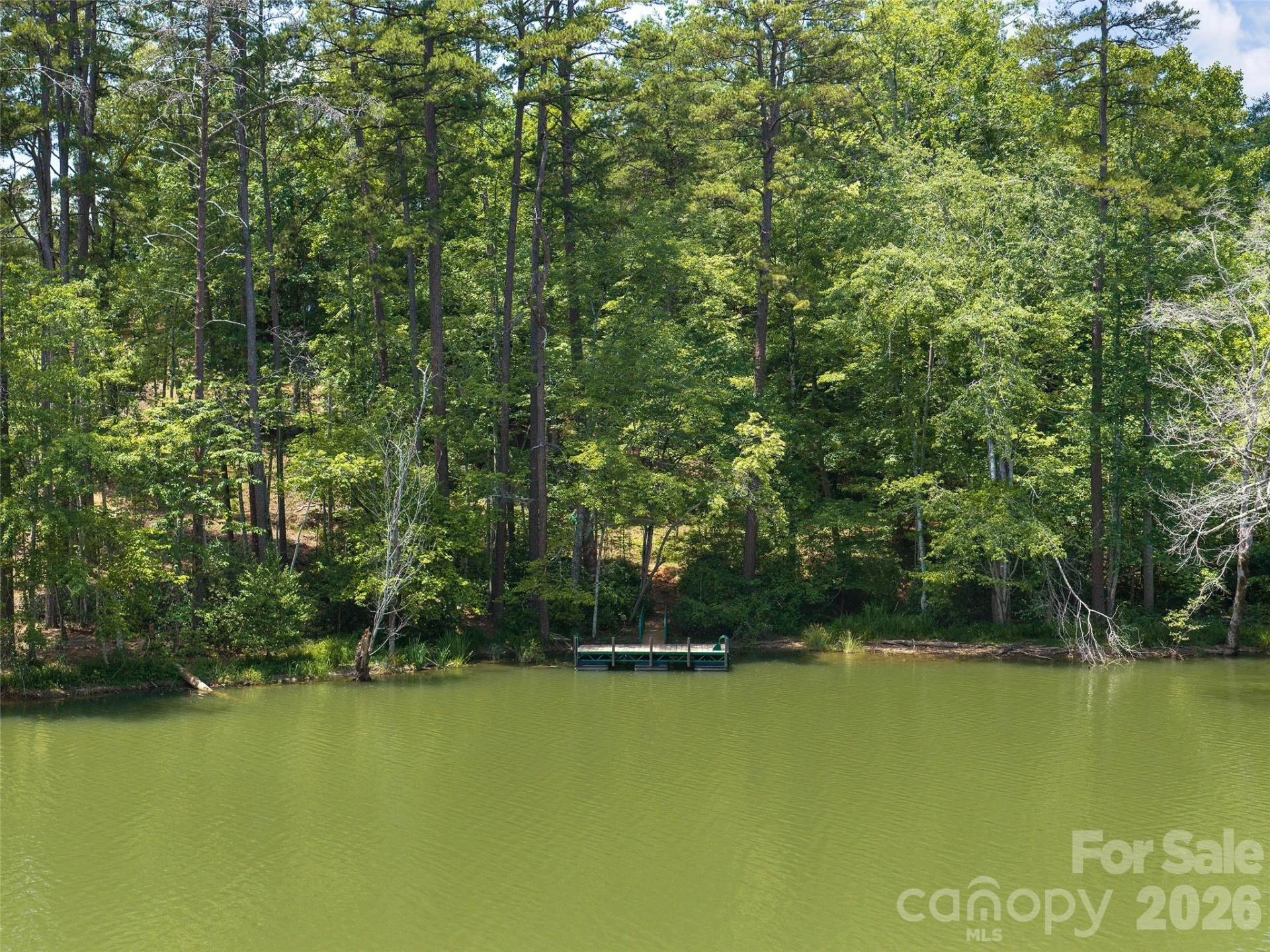 Lot 14 Parkway North Road #14 - Photo 4