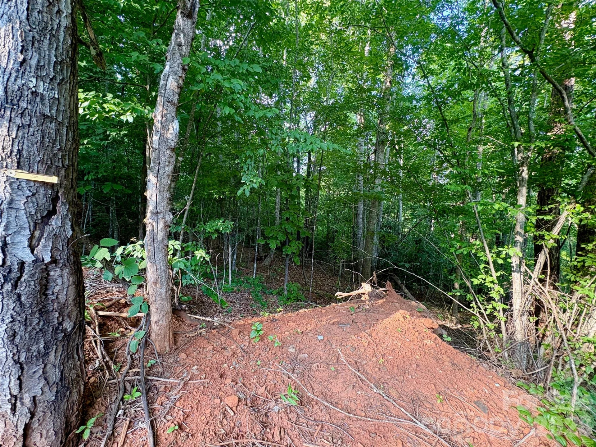 289 Champange Ridge - Photo 3