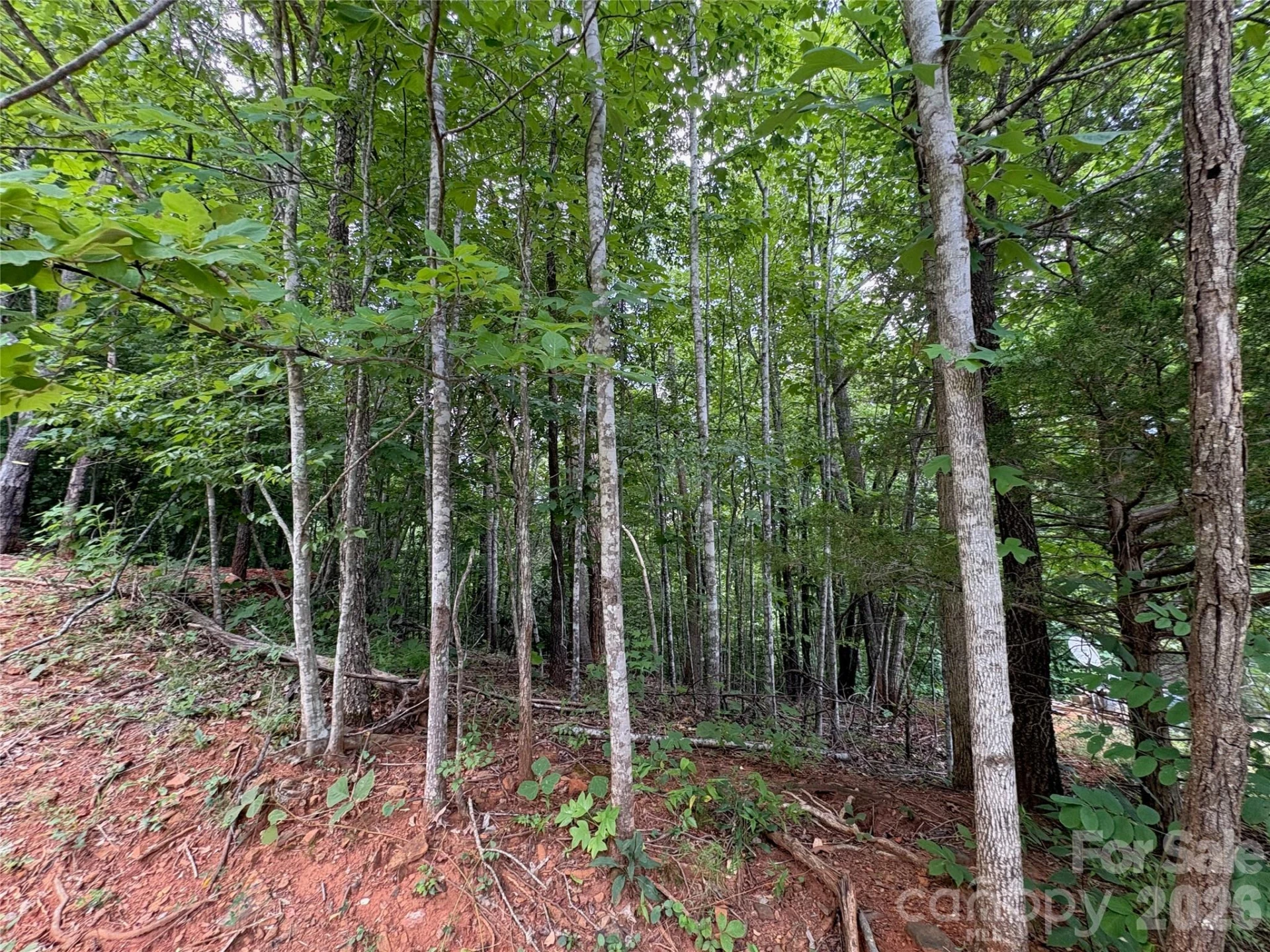 289 Champange Ridge - Photo 5