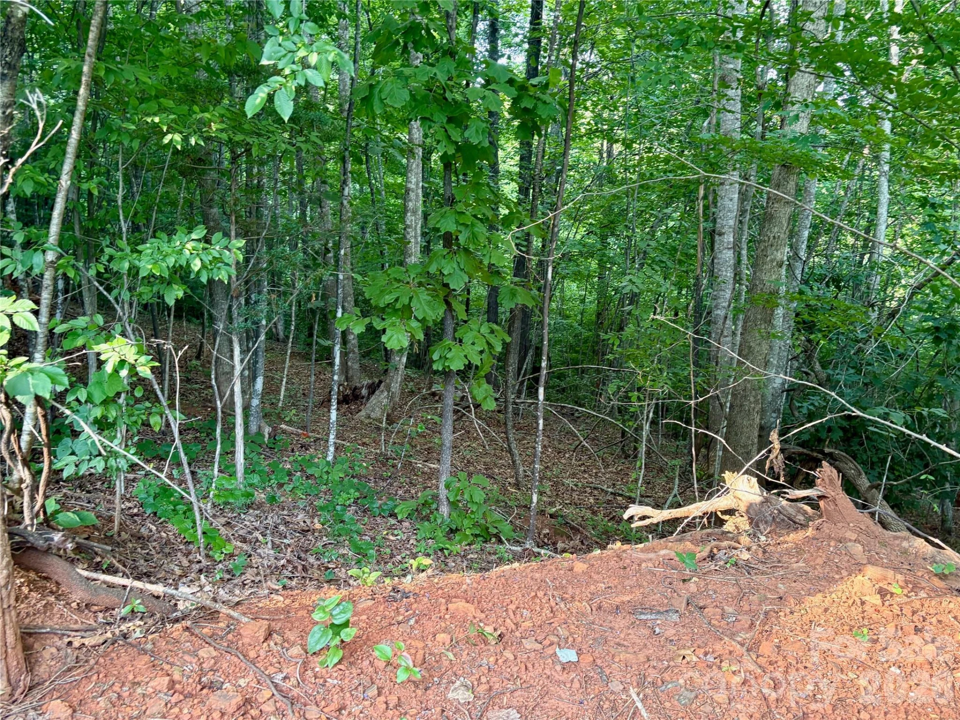 289 Champange Ridge - Photo 7