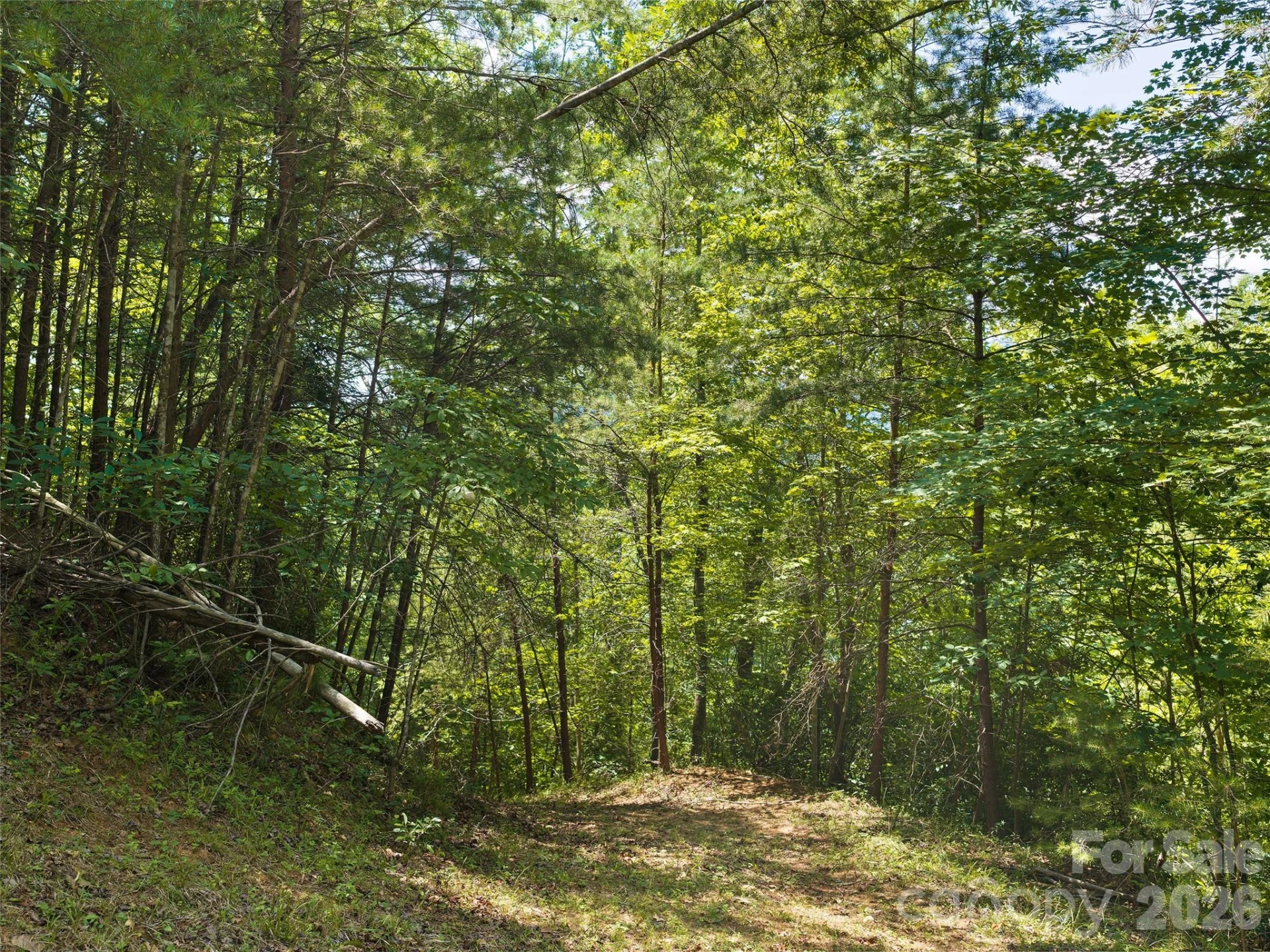 Lot 3 Loggers Pass Lane - Photo 3