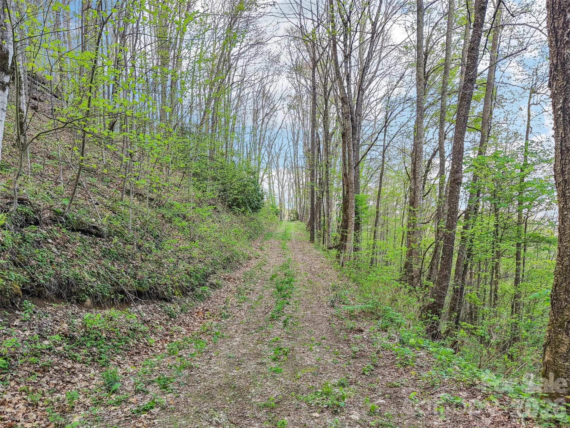 00 Star Crest Drive - Photo 2