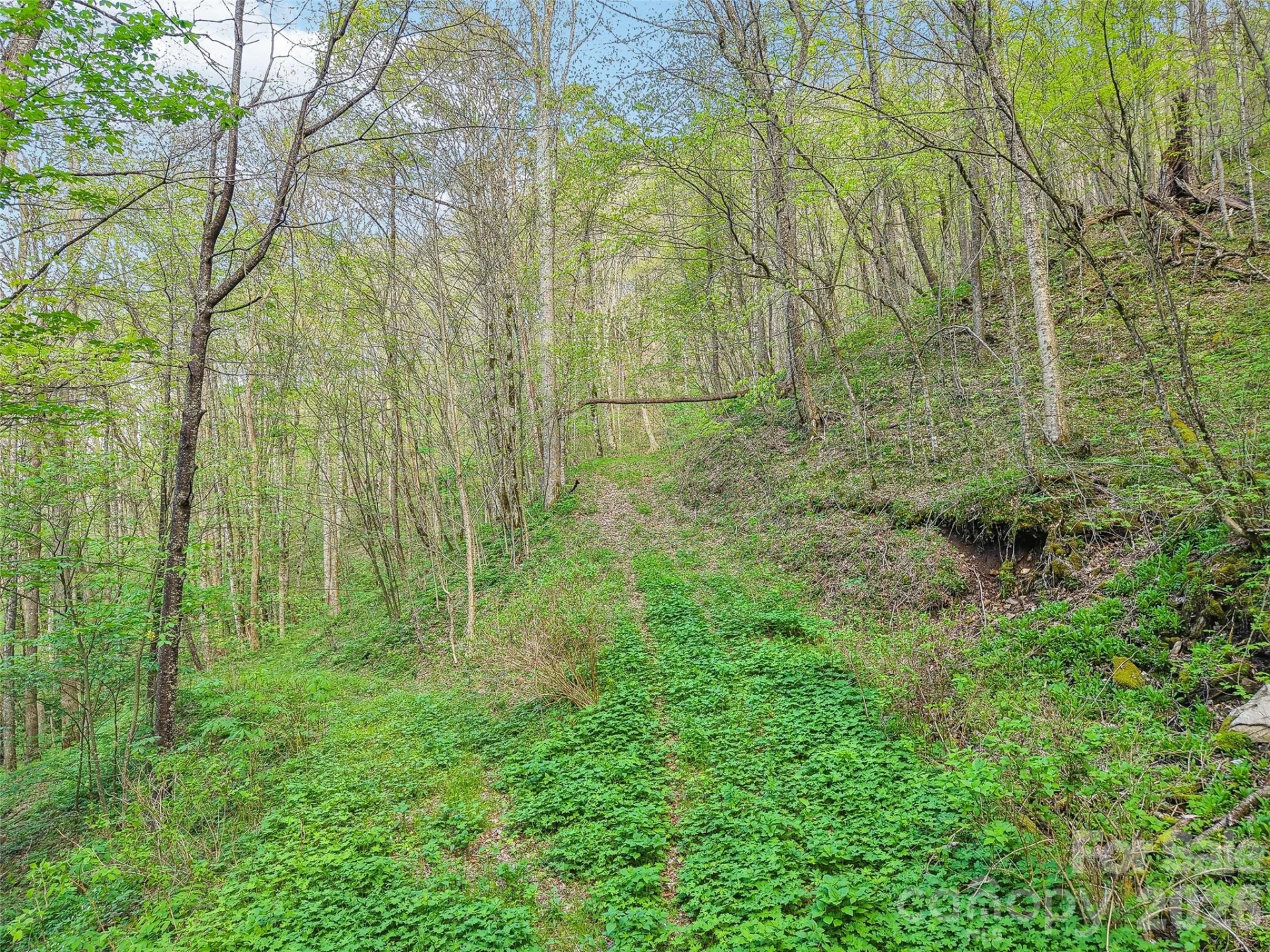 00 Star Crest Drive - Photo 4