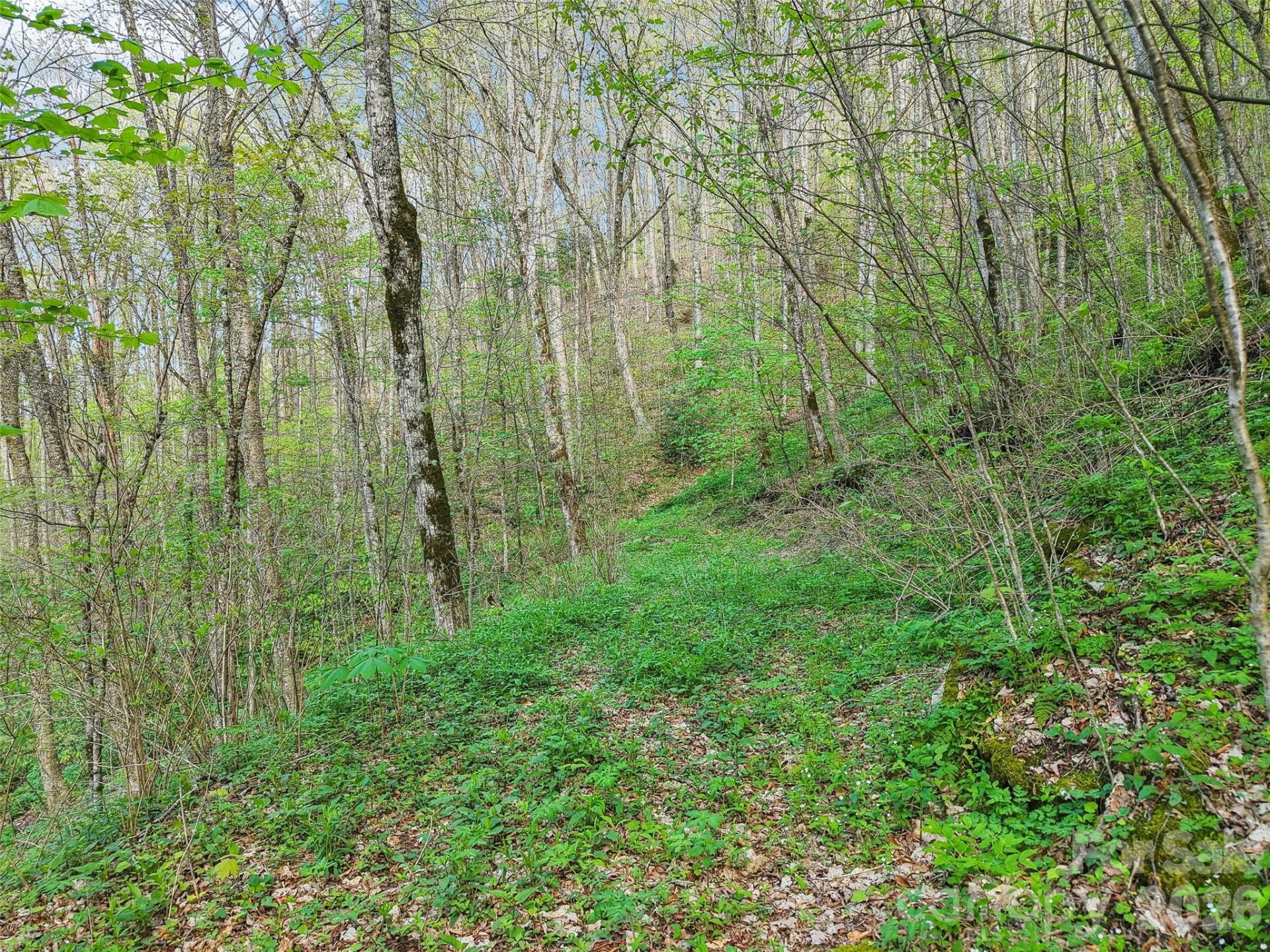 00 Star Crest Drive - Photo 9