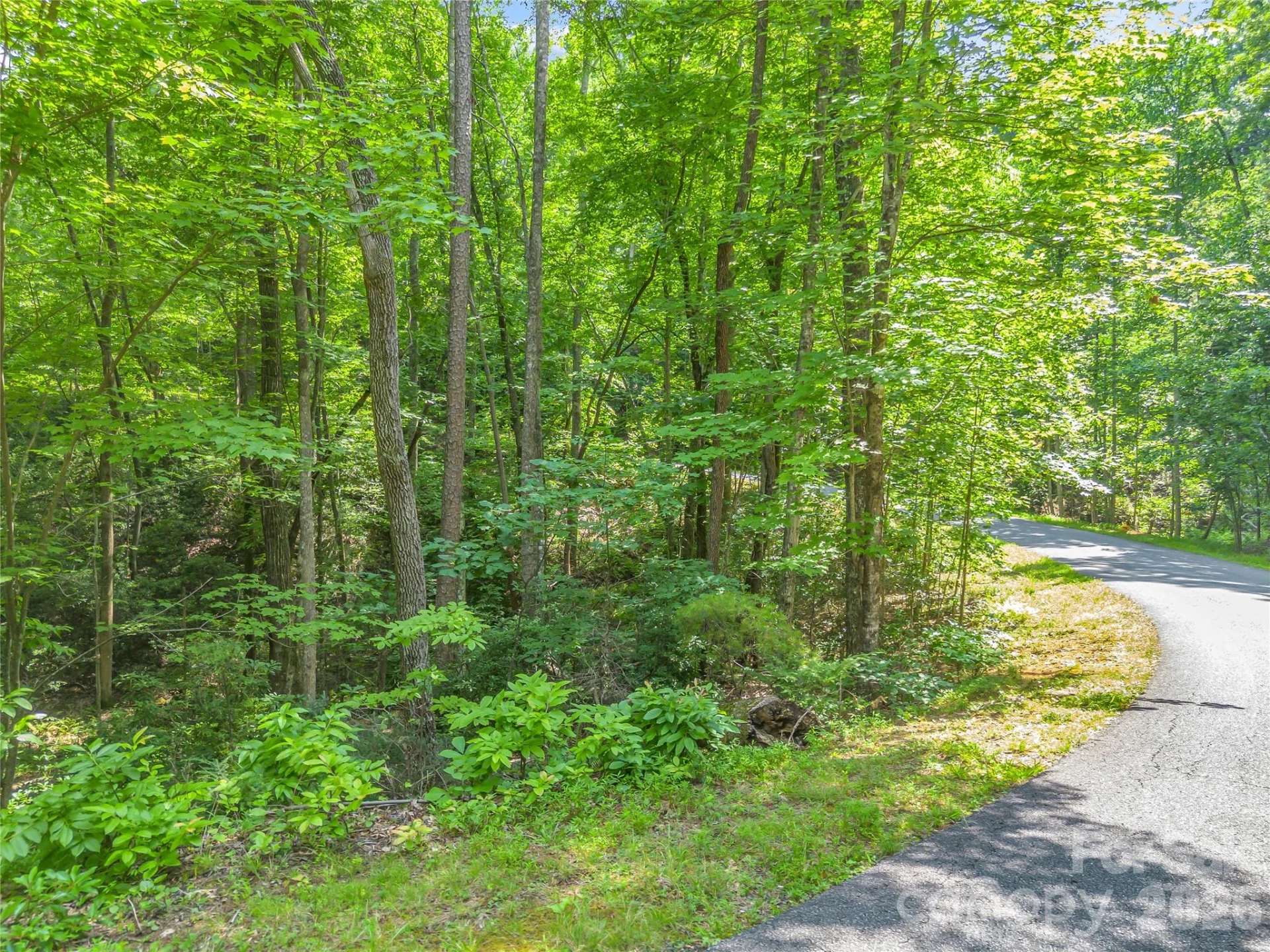 Lot 82 Lakewood Drive - Photo 8