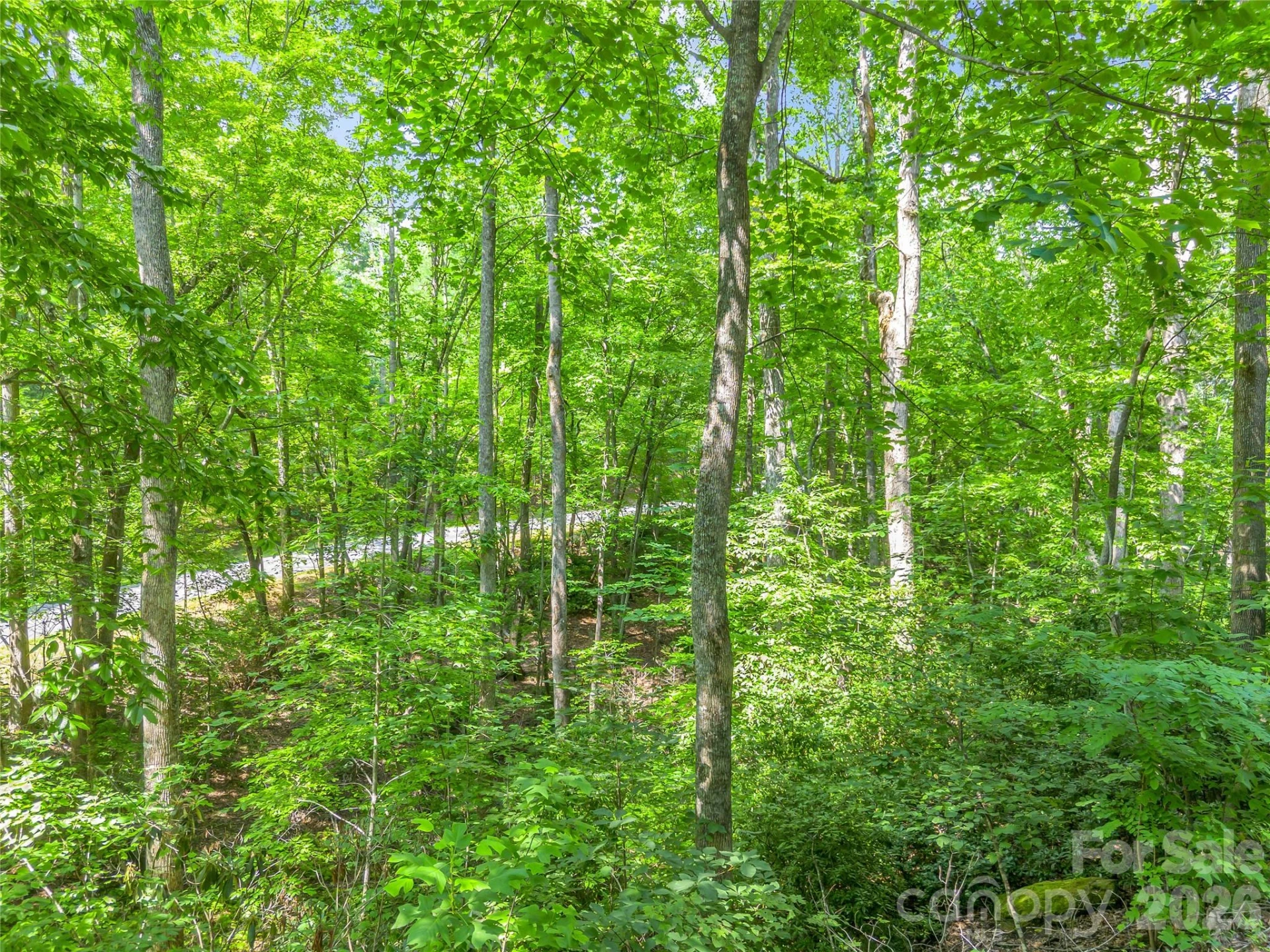 Lot 82 Lakewood Drive - Photo 9