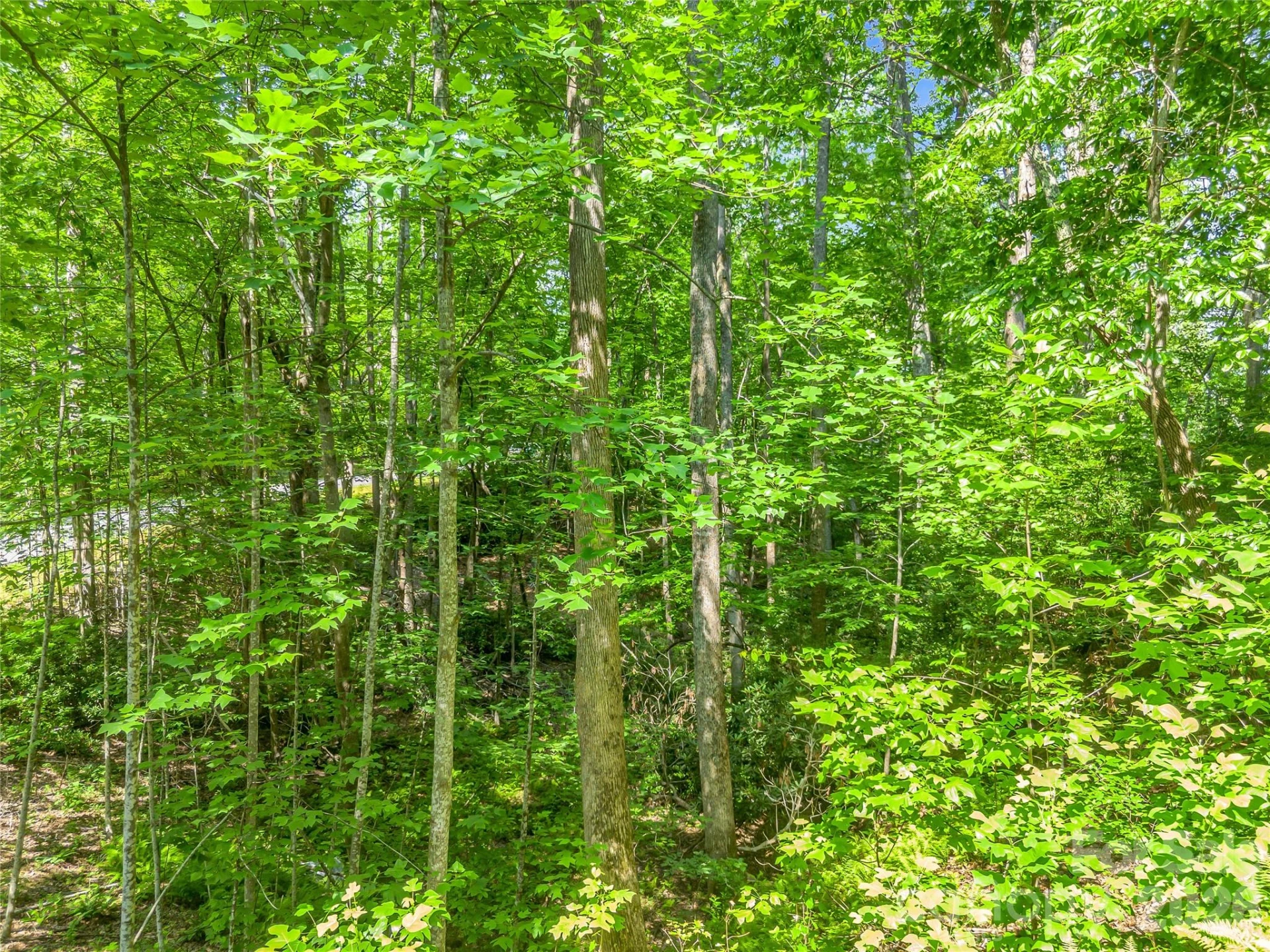 Lot 82 Lakewood Drive - Photo 10