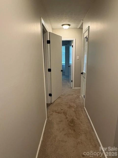 31 Spring Forest Circle - Photo 7