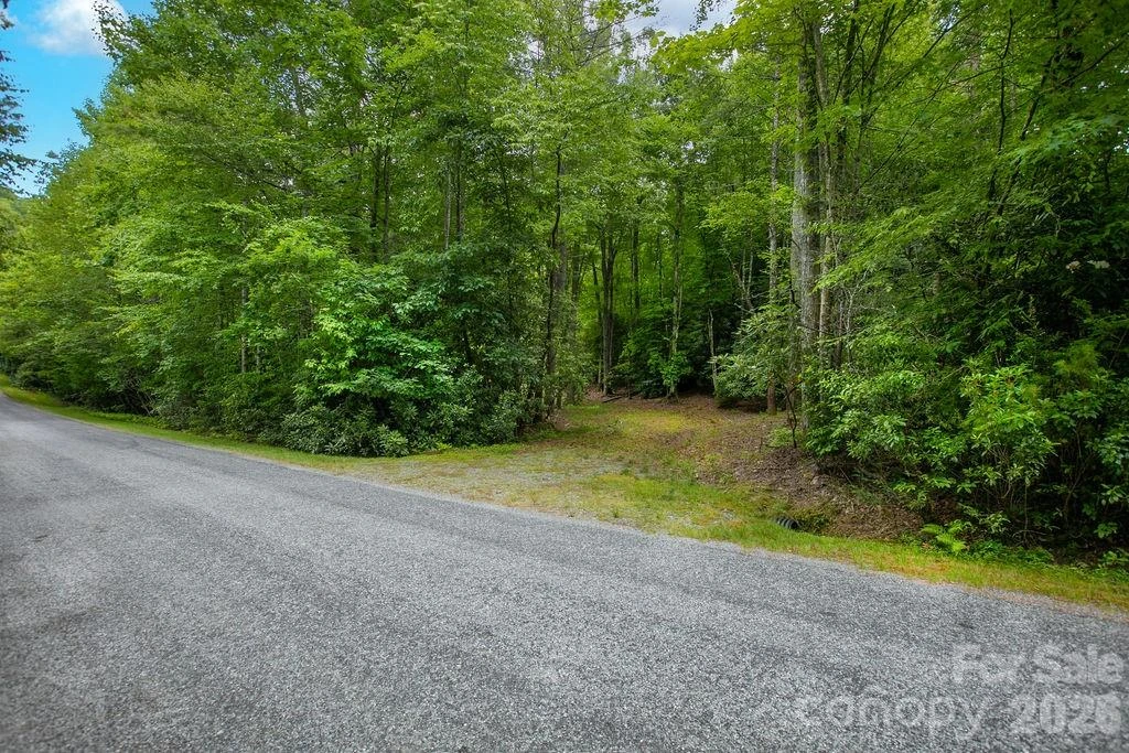 1571 Eagle Lake Drive #153 - Photo 9