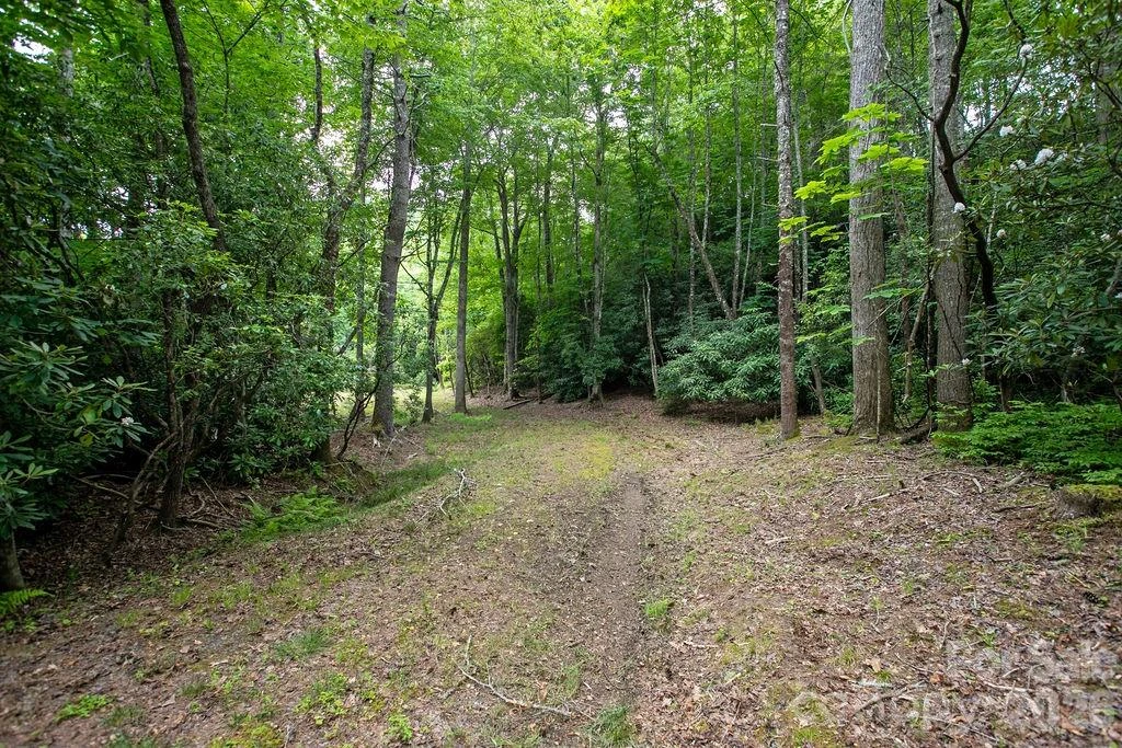 1571 Eagle Lake Drive #153 - Photo 10