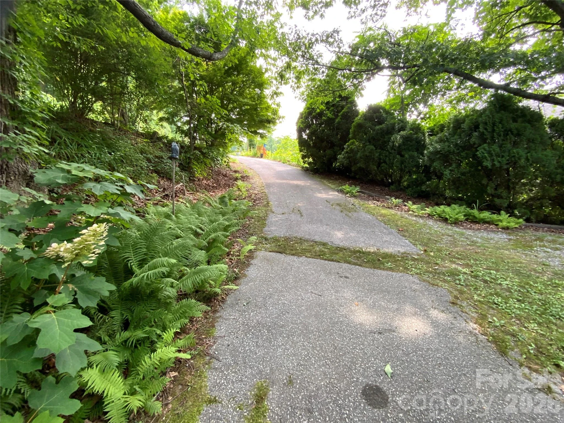 58 Seminary Street - Photo 14