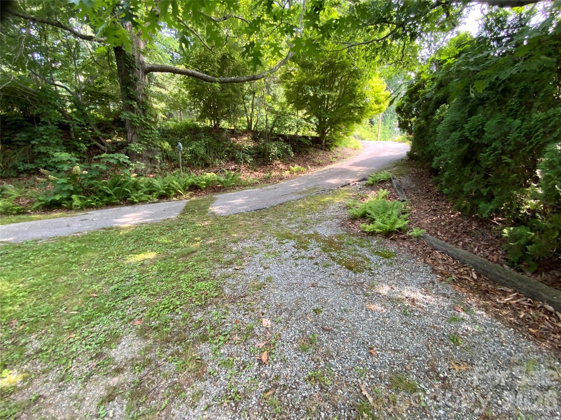 58 Seminary Street - Photo 10