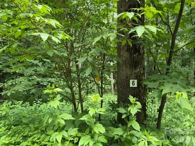 Lot 6 Gadohi Trail