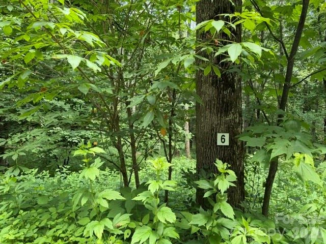 Lot 6 Gadohi Trail #6