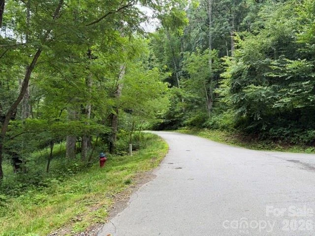 Lot 6 Gadohi Trail #6 - Photo 2