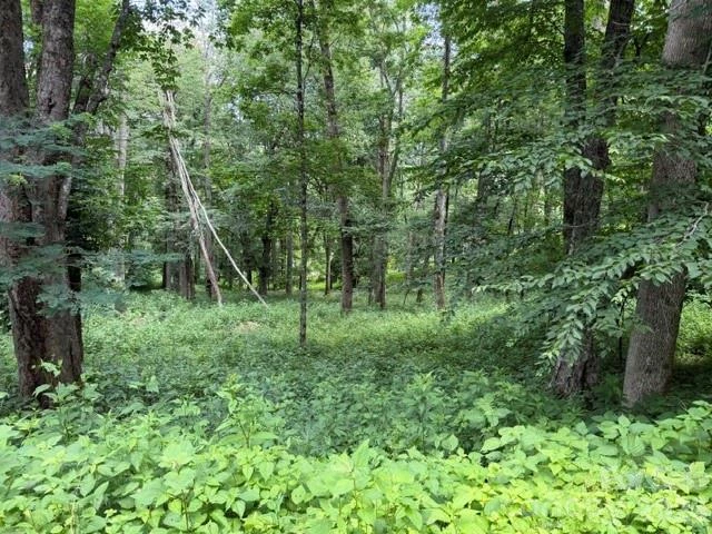 Lot 6 Gadohi Trail #6 - Photo 3