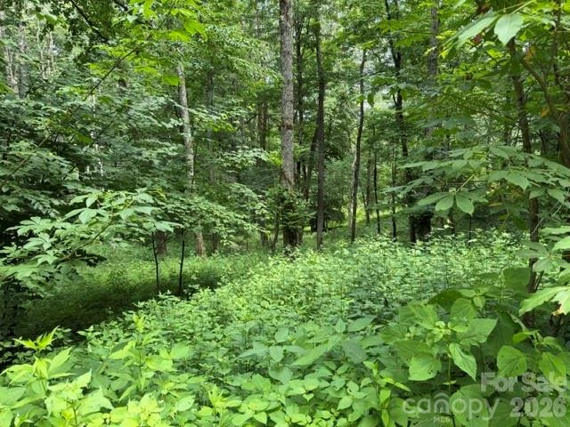Lot 6 Gadohi Trail #6 - Photo 4