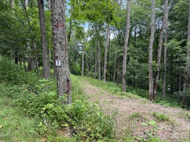 Lot 7 Gadohi Trail