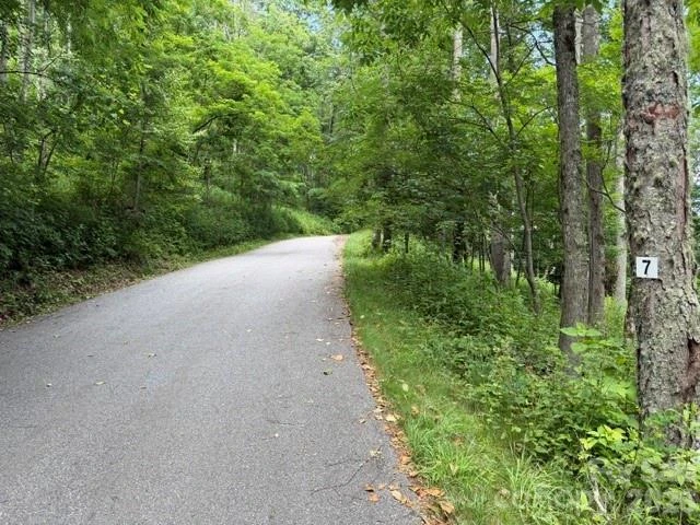 Lot 7 Gadohi Trail #7 - Photo 2