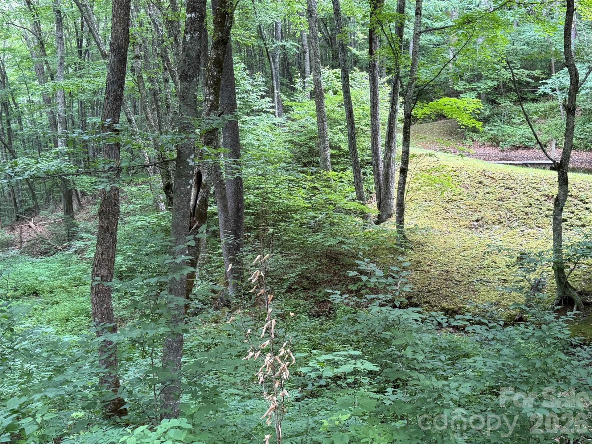 Lot 7 Gadohi Trail #7 - Photo 17