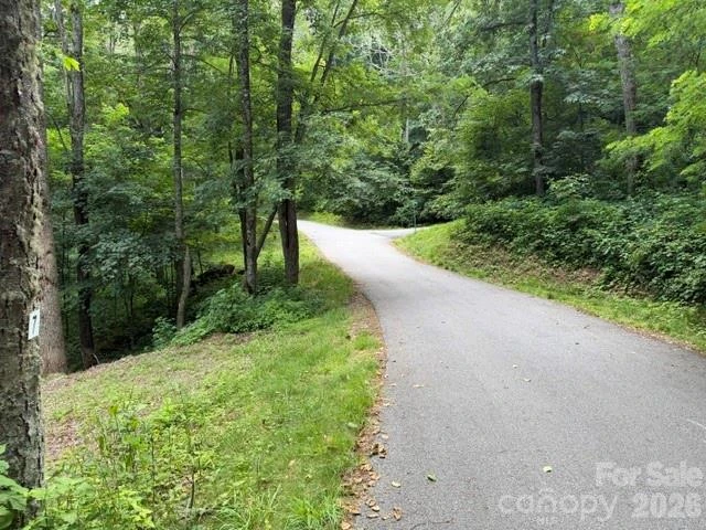 Lot 7 Gadohi Trail #7 - Photo 3