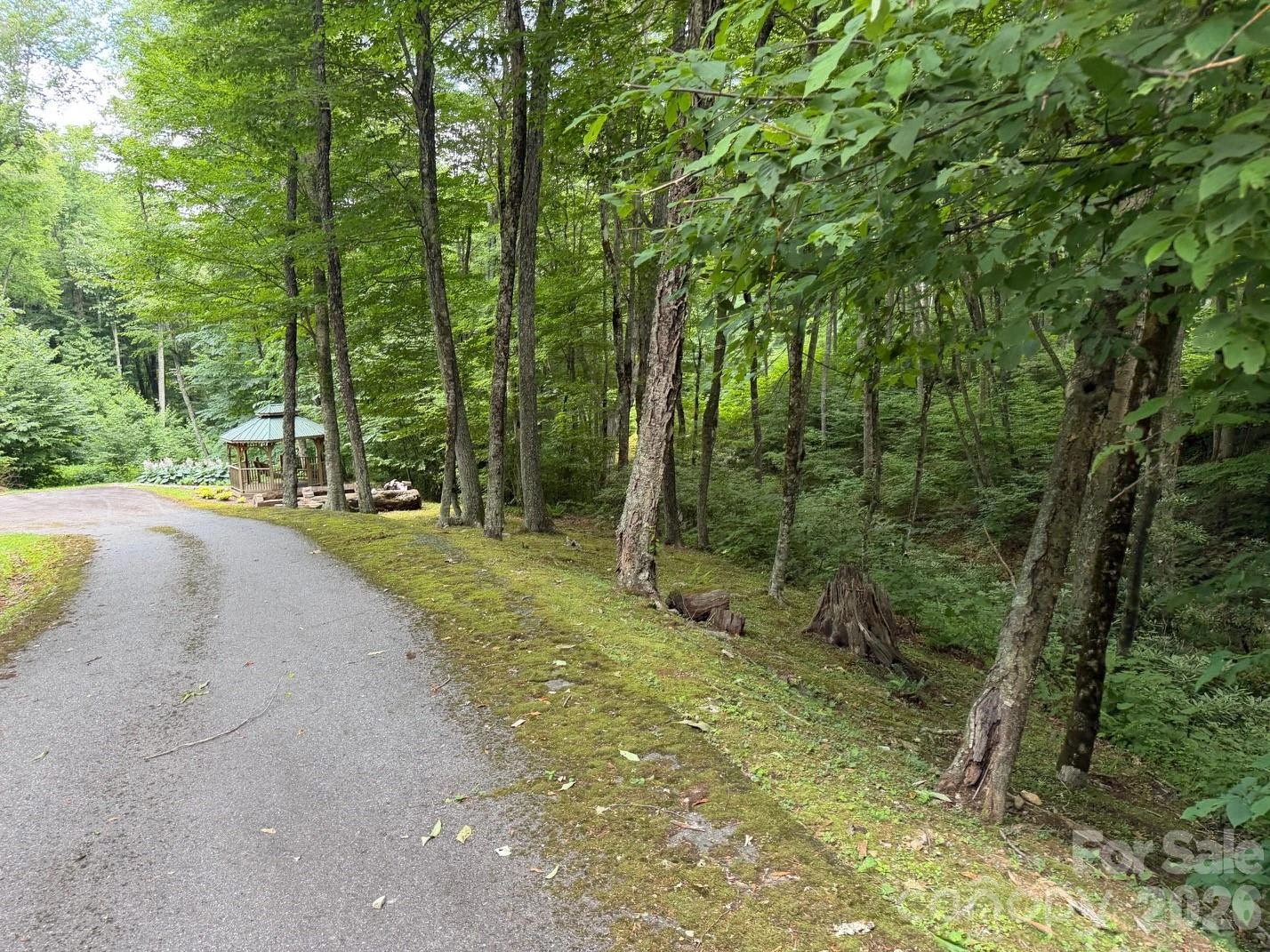 Lot 7 Gadohi Trail #7 - Photo 24