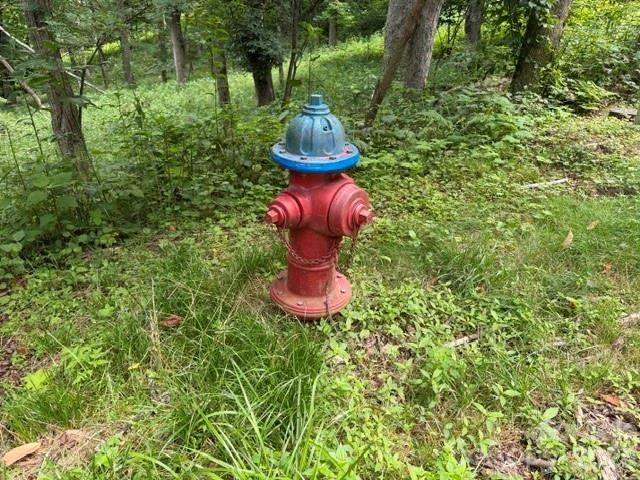 Lot 7 Gadohi Trail #7 - Photo 4