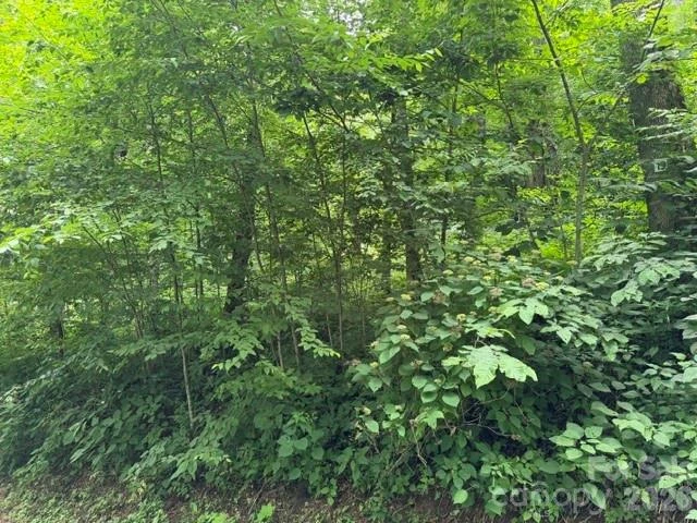 Lot 19 Iga Trail #19 - Photo 2