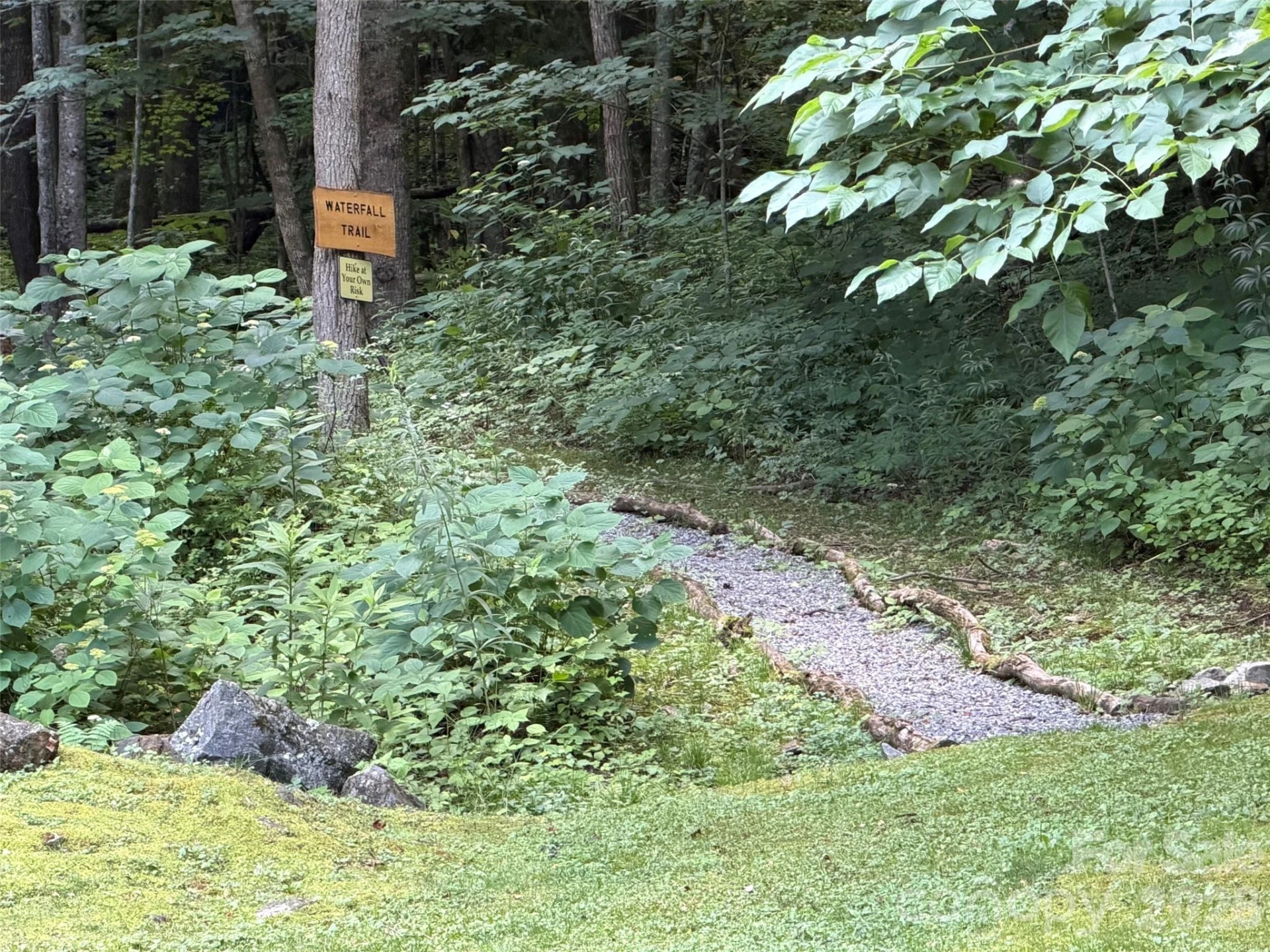 Lot 19 Iga Trail #19 - Photo 11