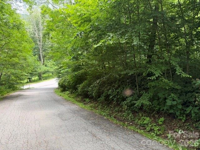 Lot 19 Iga Trail #19 - Photo 3