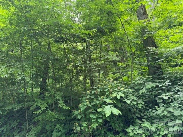 Lot 19 Iga Trail #19 - Photo 4