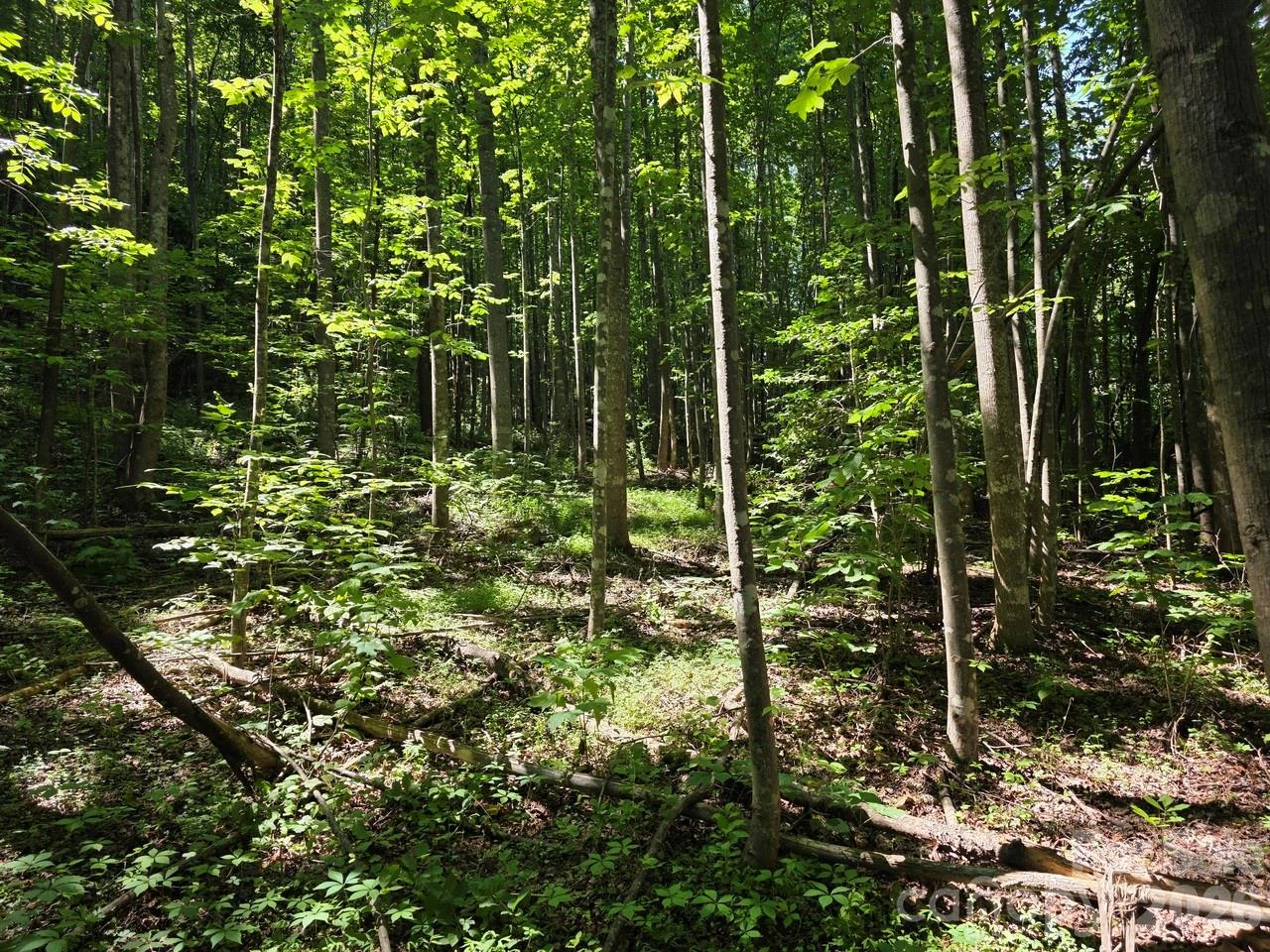 Lot 45 South View Court - Photo 4