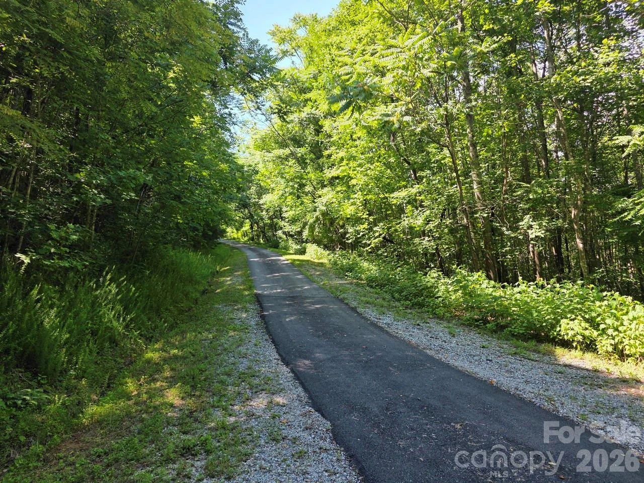 Lot 45 South View Court - Photo 9
