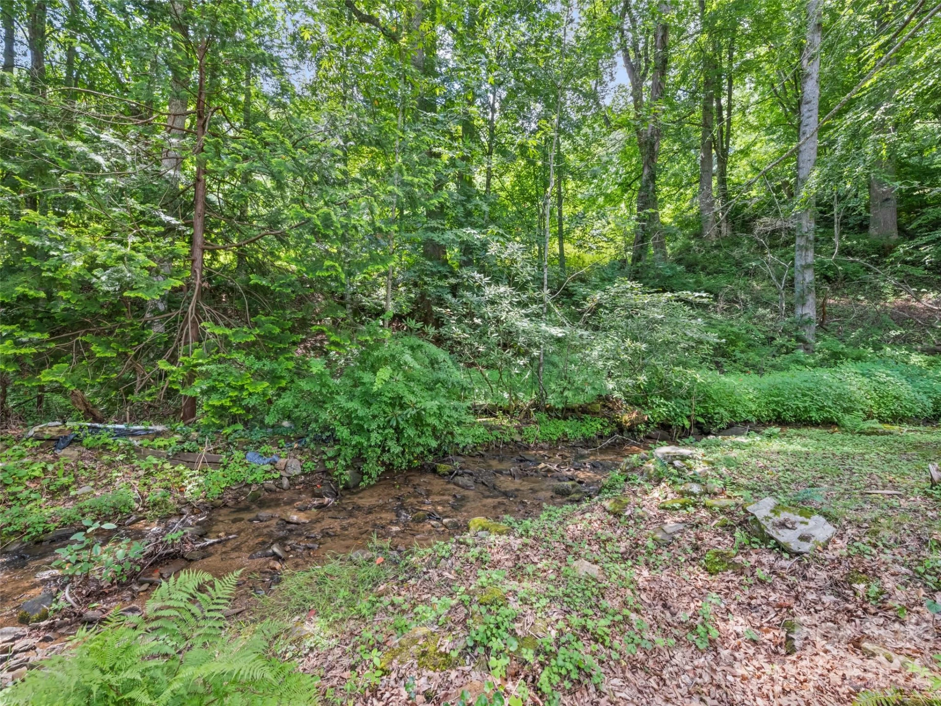 64 Turner Branch - Photo 34