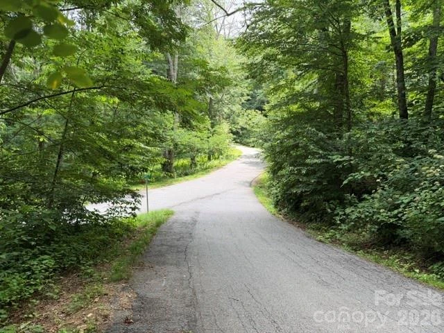 Lot 16 Iga Trail #16 - Photo 2