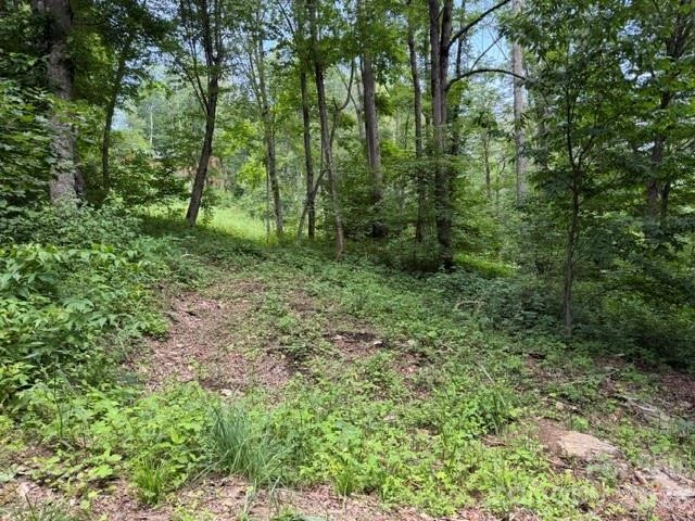 Lot 16 Iga Trail #16 - Photo 3