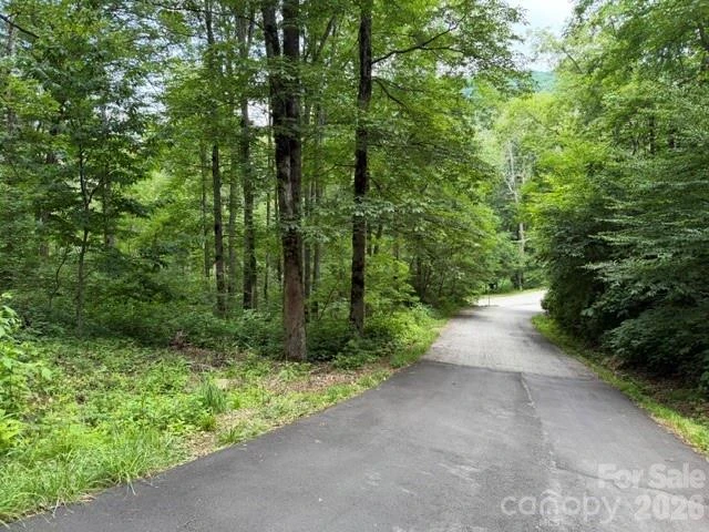 Lot 16 Iga Trail #16 - Photo 4