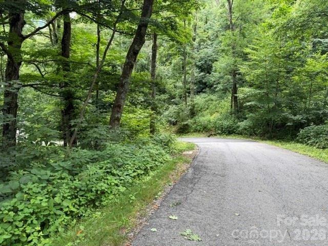 Lot 16 Iga Trail #16 - Photo 5