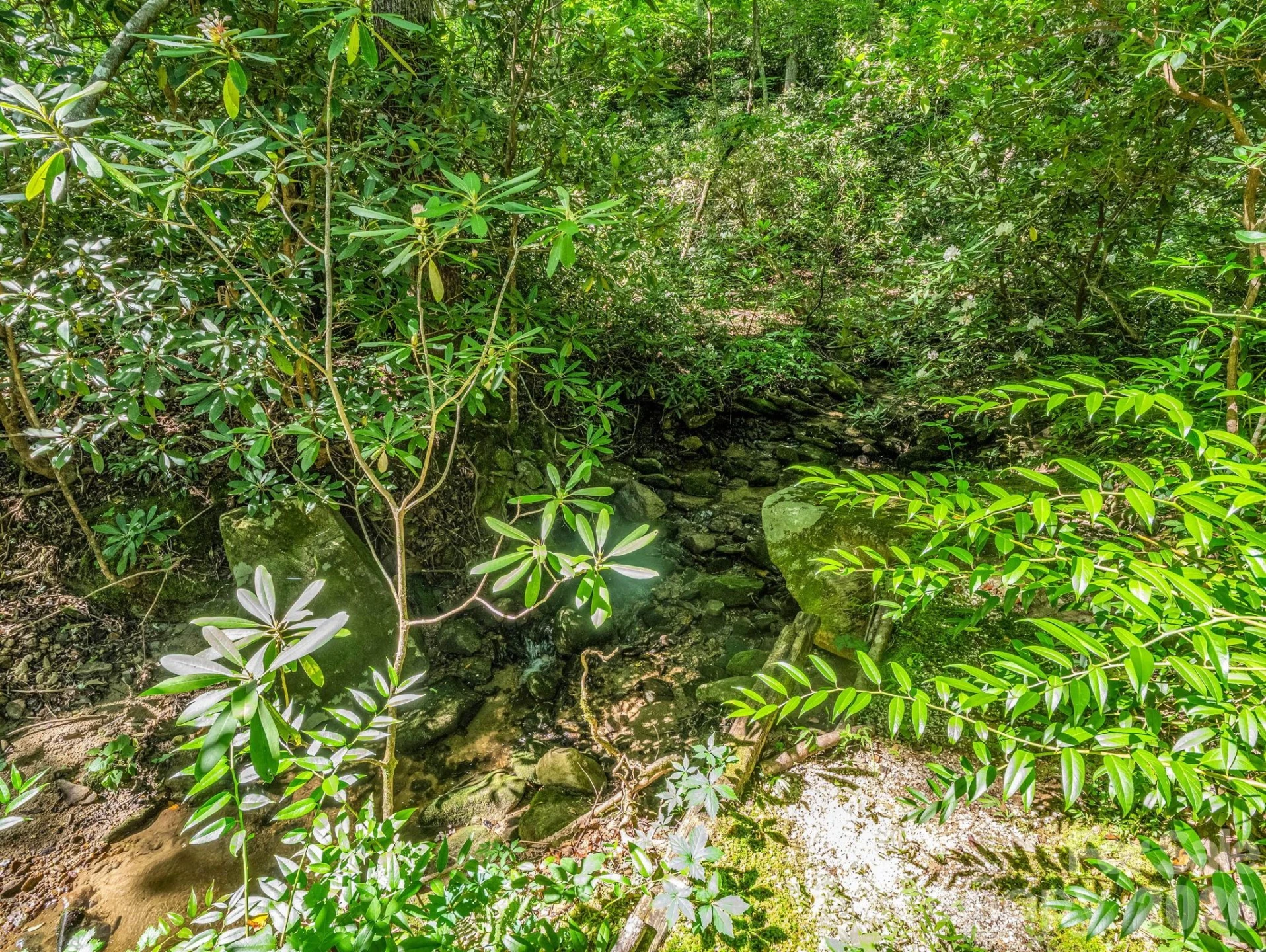 141 Hemlock Lane #3 - Photo 23
