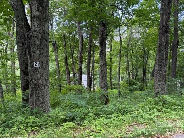 Lot 21 Odalu Trail