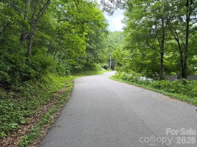 Lot 21 Odalu Trail #21 - Photo 2