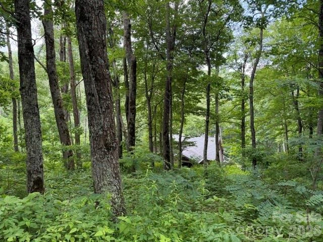 Lot 21 Odalu Trail #21 - Photo 3