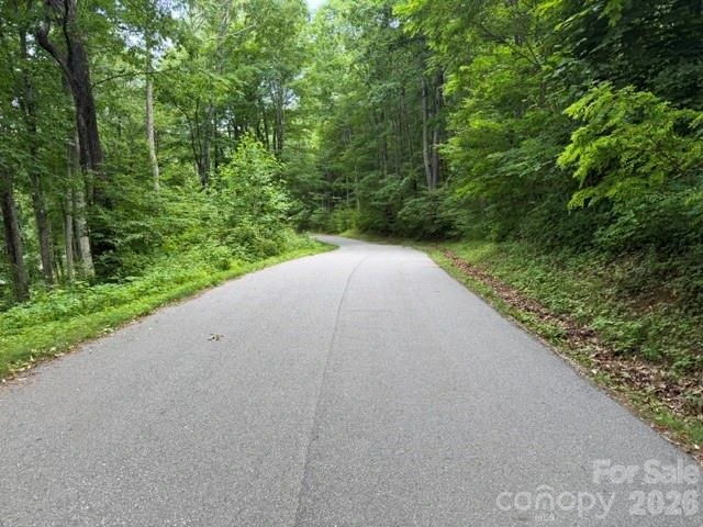 Lot 21 Odalu Trail #21 - Photo 4