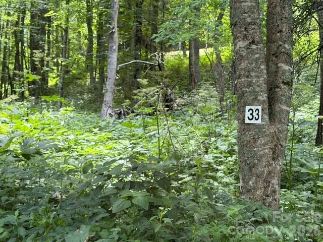 Lot 33 Toi Trail