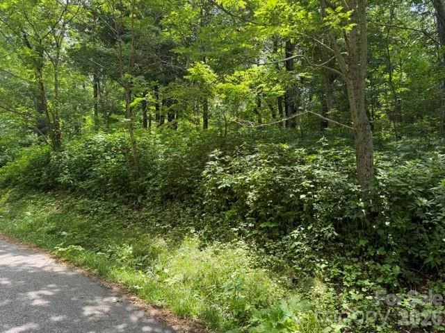 Lot 33 Toi Trail #33 - Photo 2